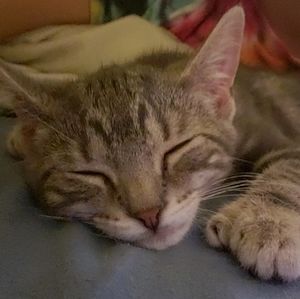 Meet your Posher, Sidney